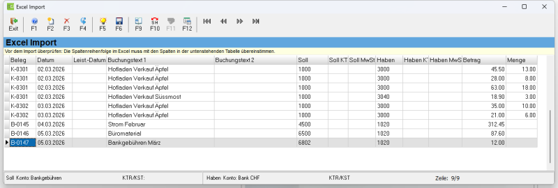 Datei:Excel Import Fenster.png