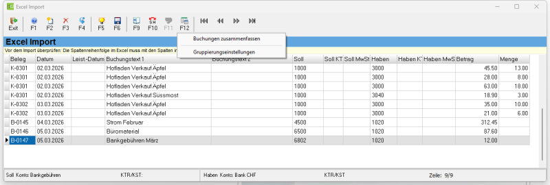 Datei:Excel Import F12 Menu.png